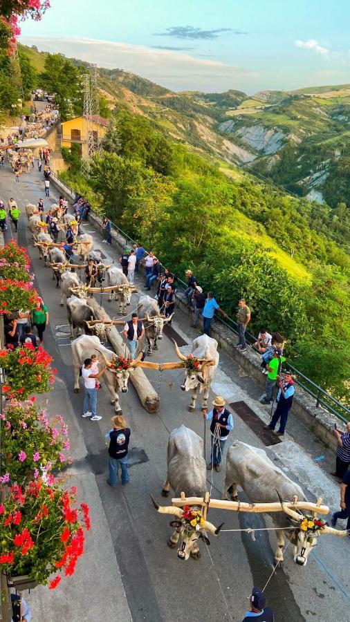 Santangelo21 Daire Pietrapertosa Dış mekan fotoğraf